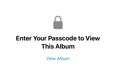 Locked Hidden album screen asking you to enter your passcode and tap View Album